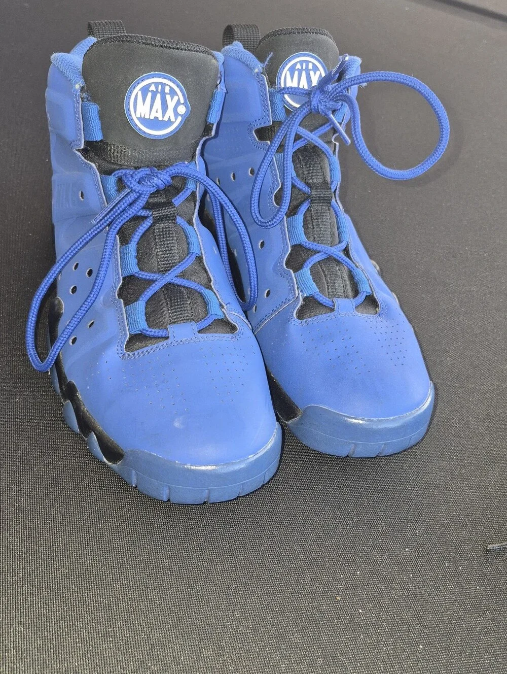 Nike Air Max Barkley Gs